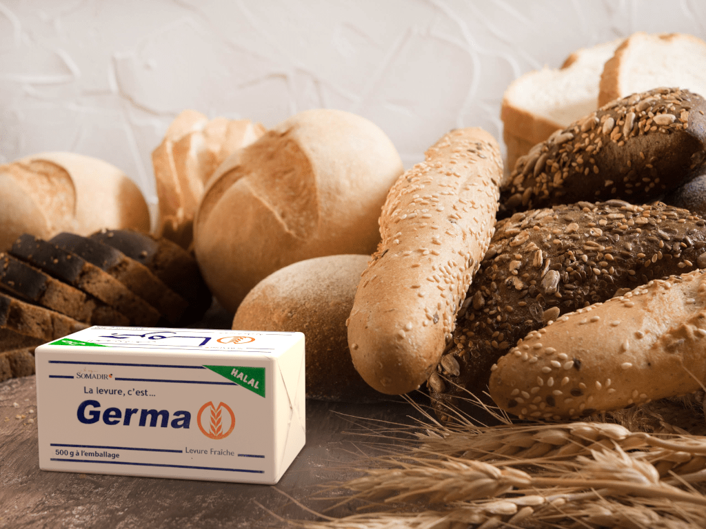 Block Germa Levure - FR