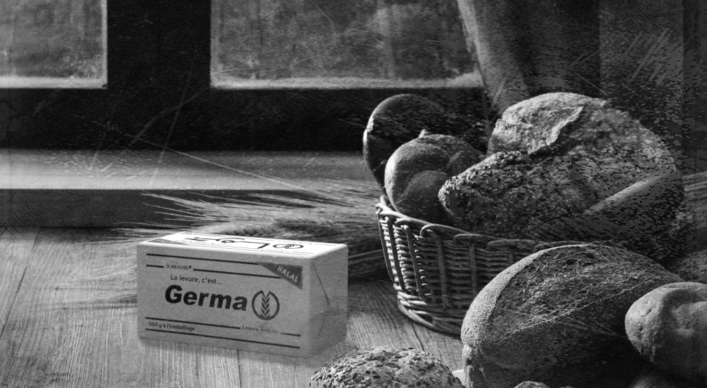 Block Germa Levure - FR